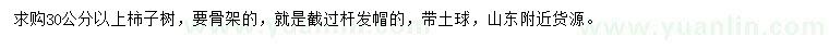 求購(gòu)30公分以上柿子樹