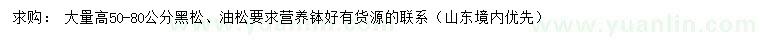 求購高50-80公分黑松、油松
