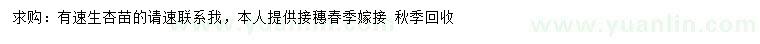 求購速生杏苗