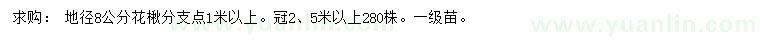 求購地徑8公分花楸