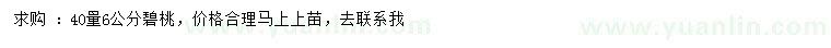 求購40量6公分碧桃