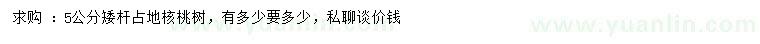 求購5公分矮桿核桃樹