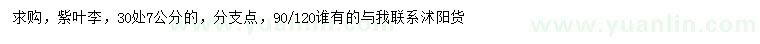 求購(gòu)30處量7公分紫葉李