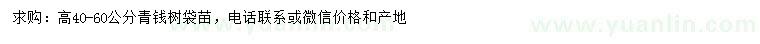 求購(gòu)高40-60公分青錢樹(shù)袋苗