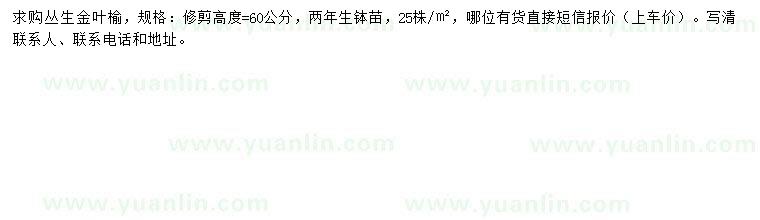 求購高60公分叢生金葉榆