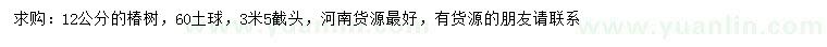 求購12公分椿樹