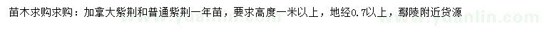 求購地徑0.7公分以上加拿大紫荊、普通紫荊