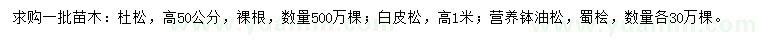 求購杜松、白皮松、油松等