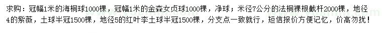 求購海桐球、金森女貞、法桐等
