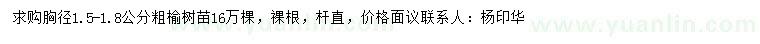 求購(gòu)胸徑1.5-1.8公分榆樹(shù)苗