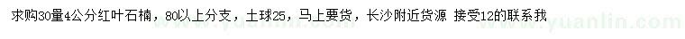 求購30量4公分紅葉石楠