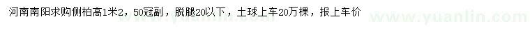 求購高1.2米側(cè)柏