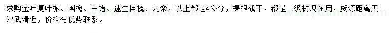 求購(gòu)金葉復(fù)葉槭、國(guó)槐、白蠟等