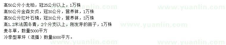 求購小龍柏、金森女貞、紅葉石楠等