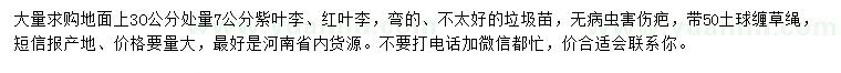 求購7公分紫葉李、紅葉李
