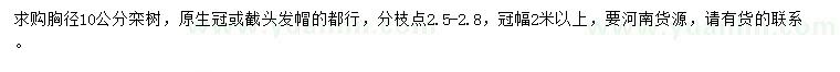 求購胸徑10公分欒樹