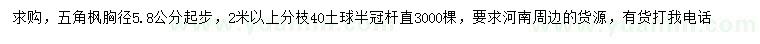 求購胸徑5、8公分起步五角楓