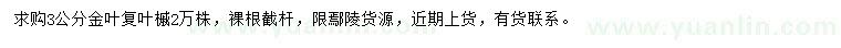 求購3公分金葉復(fù)葉槭