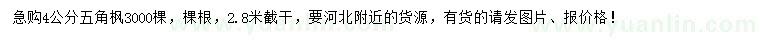 求購(gòu)4公分五角楓