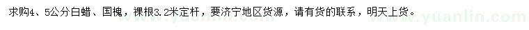 求購(gòu)4、5公分白蠟、國(guó)槐