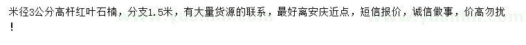 求購米徑3公分高桿紅葉石楠
