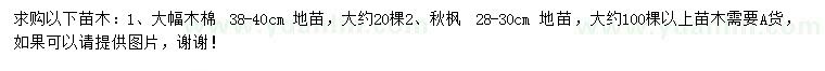 求購38-40公分大腹木棉、28-30公分秋楓