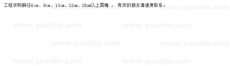 求購胸徑6、8、10、12、15公分以上國槐