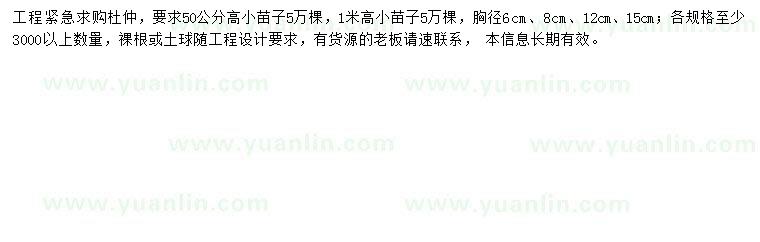 求購胸徑6、8、12、15公分杜仲小苗