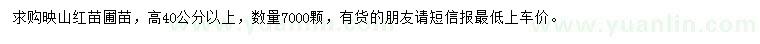 求購高40公分以上映山紅