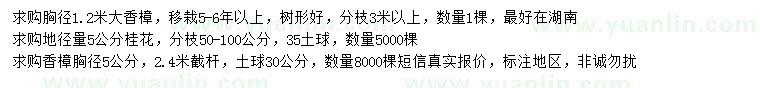 求購胸徑1.2米香樟、地徑5公分桂花