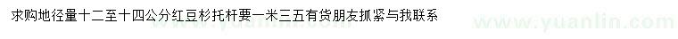 求購地徑量12-14公分紅豆杉
