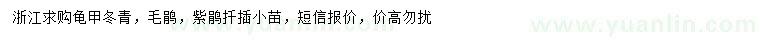 求購(gòu)龜甲冬青、毛鵑、紫鵑扦插小苗