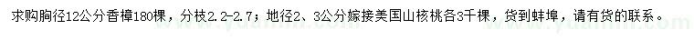 求購胸徑12公分香樟、地徑2、3公分美國山核桃