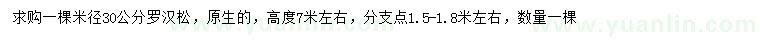 求購(gòu)米徑30公分羅漢松