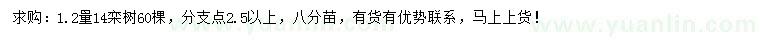 求購1.2量14公分欒樹
