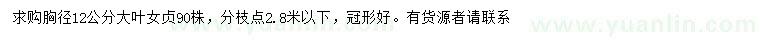 求購胸徑12公分大葉女貞