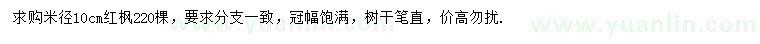 求購米徑10公分紅楓