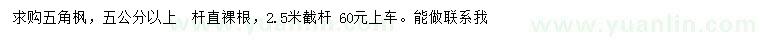 求購5公分以上五角楓