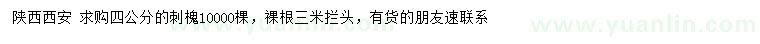求購(gòu)4公分刺槐