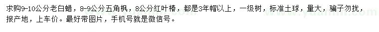 求購(gòu)老白蠟、五角楓、紅葉椿