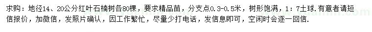 求購(gòu)地徑14、20公分紅葉石楠