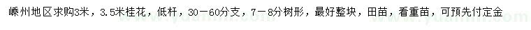 求購3、3.5米桂花