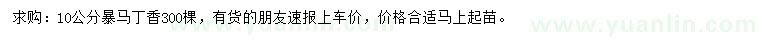 求購10公分暴馬丁香