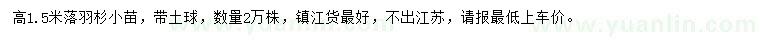 求購高1.5米落羽杉小苗