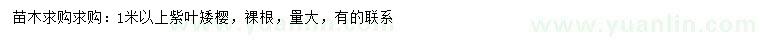 求購1米以上紫葉矮櫻