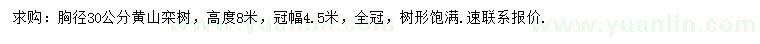 求購(gòu)胸徑30公分黃山欒樹