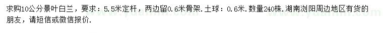 求購(gòu)10公分景葉白蘭