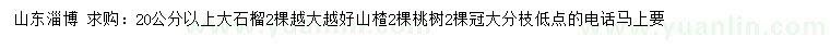 求購(gòu)20公分以上大石榴、桃樹(shù)