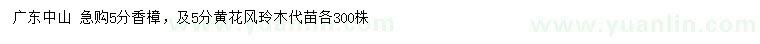 求購(gòu)5公分香樟、黃花風(fēng)玲木