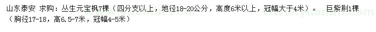 求購地徑18-20公分叢生元寶楓、胸徑17-18公分巨紫荊